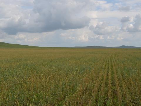 Прогноз погоды приаргунск забайкальский край